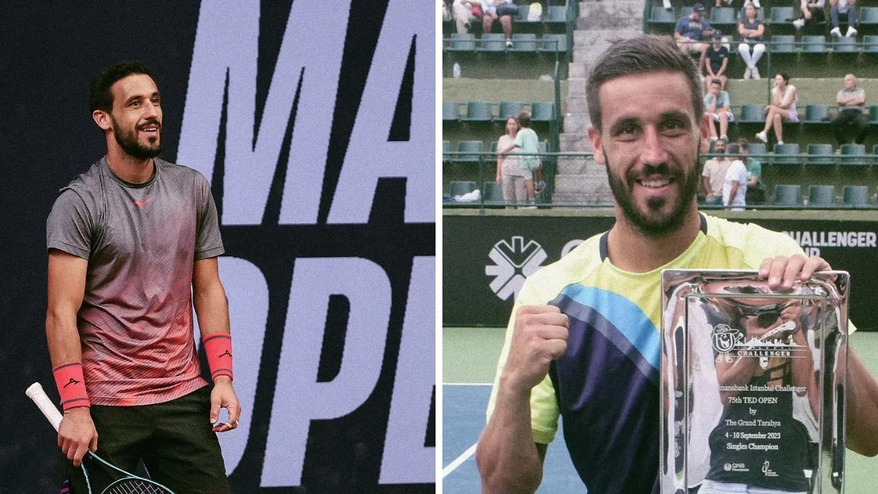 Collage de fotos de Damir Džumhur
