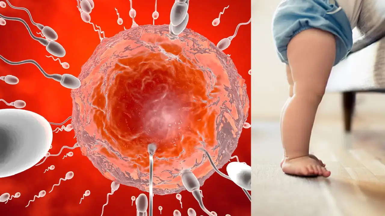 Imagen de Donador con rara mutación tuvo 67 hijos de los que 10 han desarrollado cáncer