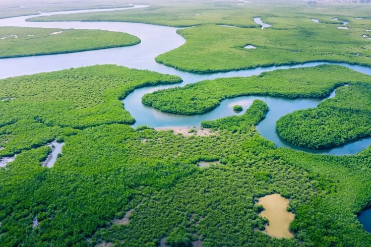 rio amazonas