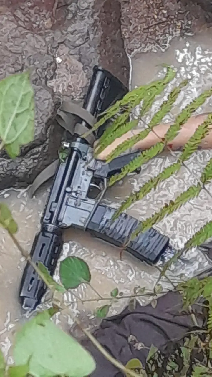 pistola
