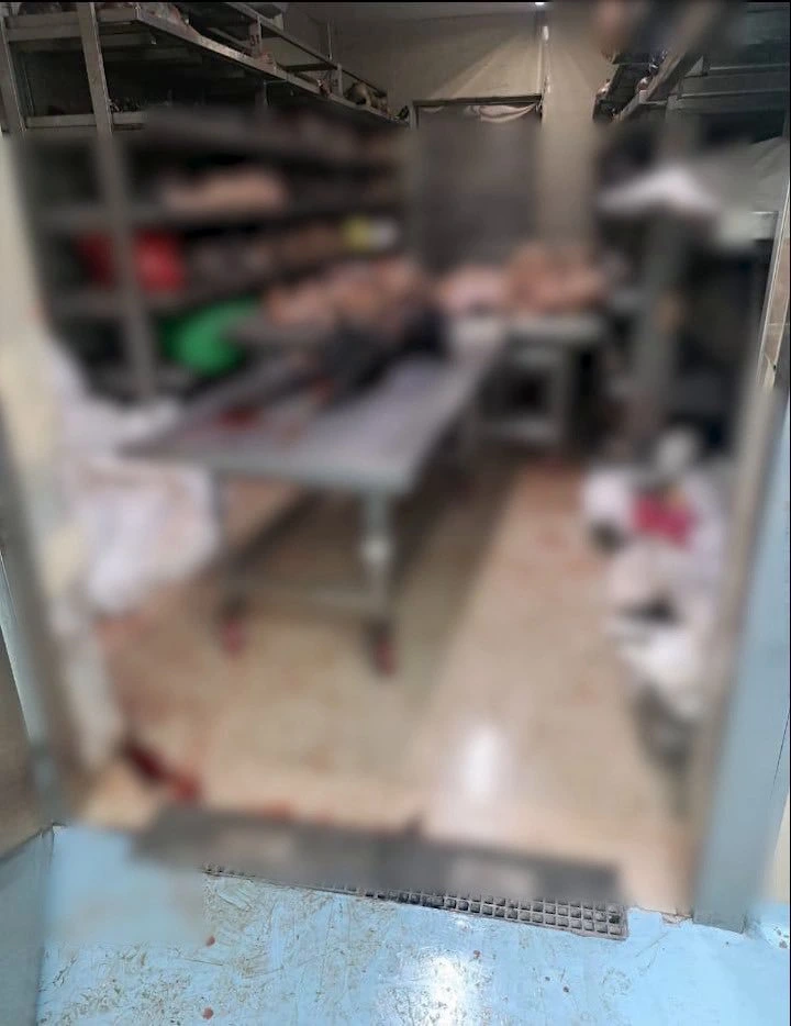 Además de un video sensible, existen imágenes de los cuerpos dejados en el piso de las instalaciones del INCIFO. Foto: cortesía de redes sociales