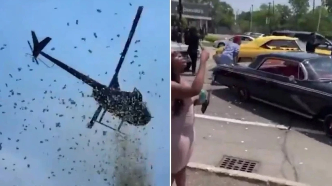 VIDEO: cumplen último deseo de empresario y arrojan dólares desde un helicóptero Imagen de VIDEO: cumplen último deseo de empresario y arrojan dólares desde un helicóptero