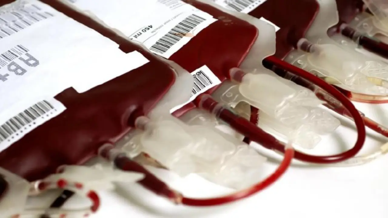 Sangre artificial: Japón inicia pruebas en humanos y espera usarla en 2030 Imagen de Sangre artificial: Japón inicia pruebas en humanos y espera usarla en 2030