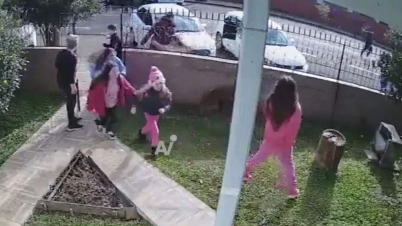 Imagen de Video capta momento en que adolescente ataca con cuchillo a niño en escuela