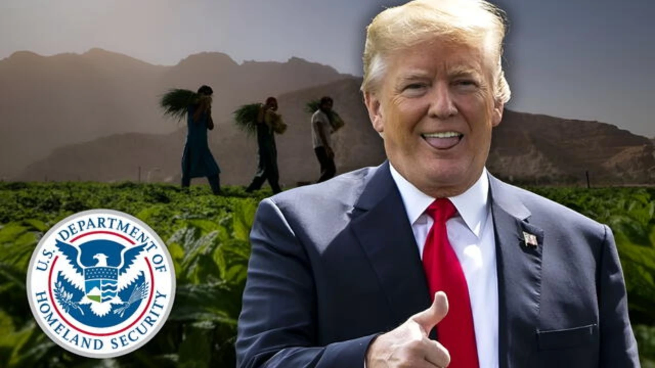 Trump propone que estos migrantes puedan legalizar su estadía en Estados Unidos Imagen de Trump propone que estos migrantes puedan legalizar su estadía en Estados Unidos
