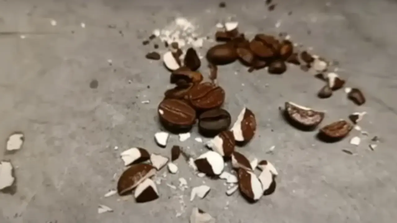 Capo camuflaba la droga como granos de café y fue detenido en Colombia Imagen de Capo camuflaba la droga como granos de café y fue detenido en Colombia