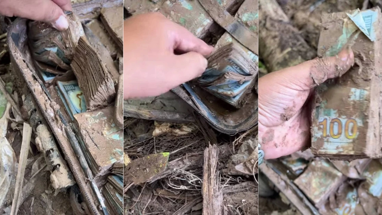 Hombre encuentra maletín con miles de dólares y se queda con el botín Imagen de Hombre encuentra maletín con miles de dólares y se queda con el botín