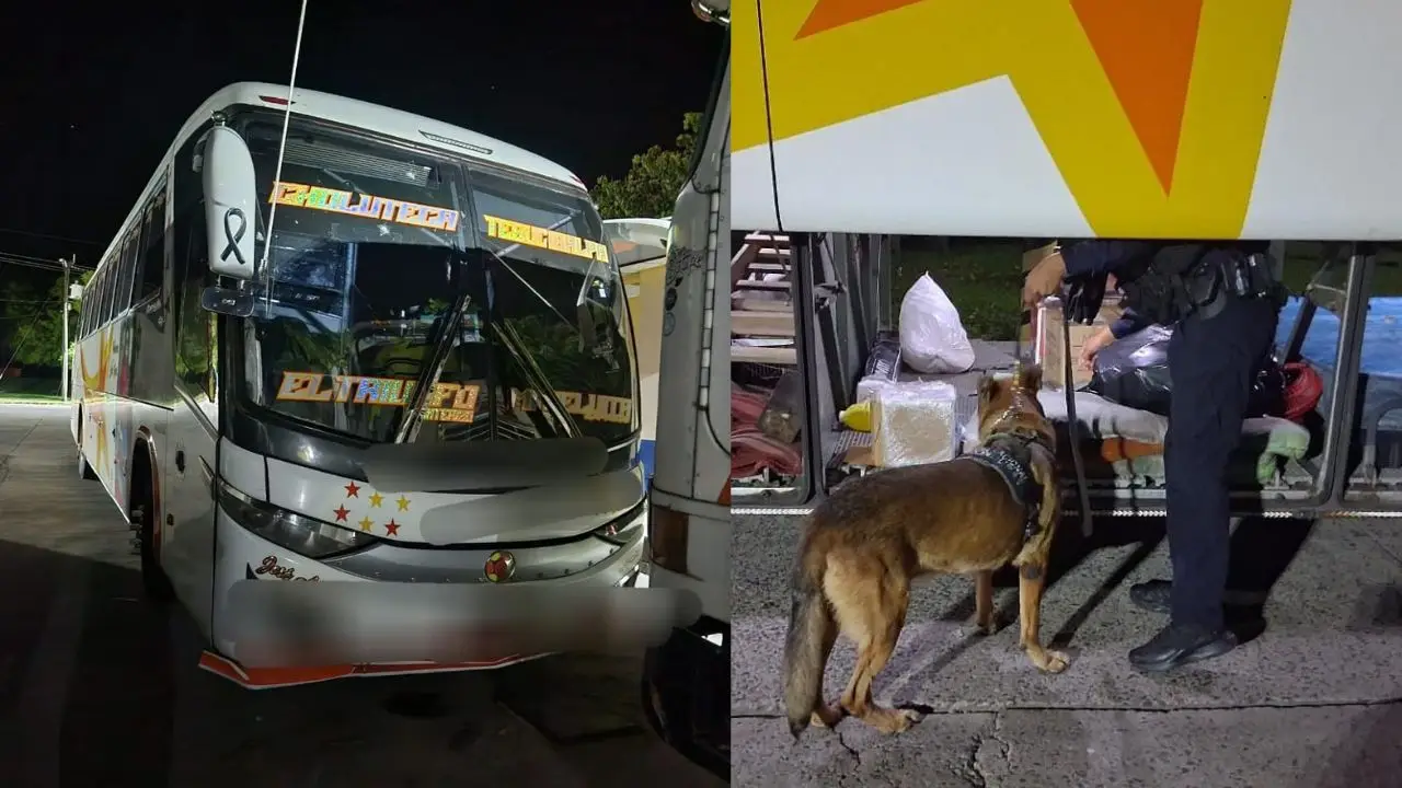 Imagen de Incautan siete kilos de metanfetamina en encomienda de bus en Choluteca