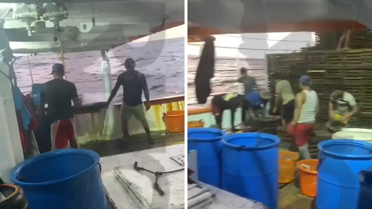 Este fue el último video que publicaron pescadores de 'Lucky Lady' desaparecidos Imagen de Este fue el último video que publicaron pescadores de 'Lucky Lady' desaparecidos