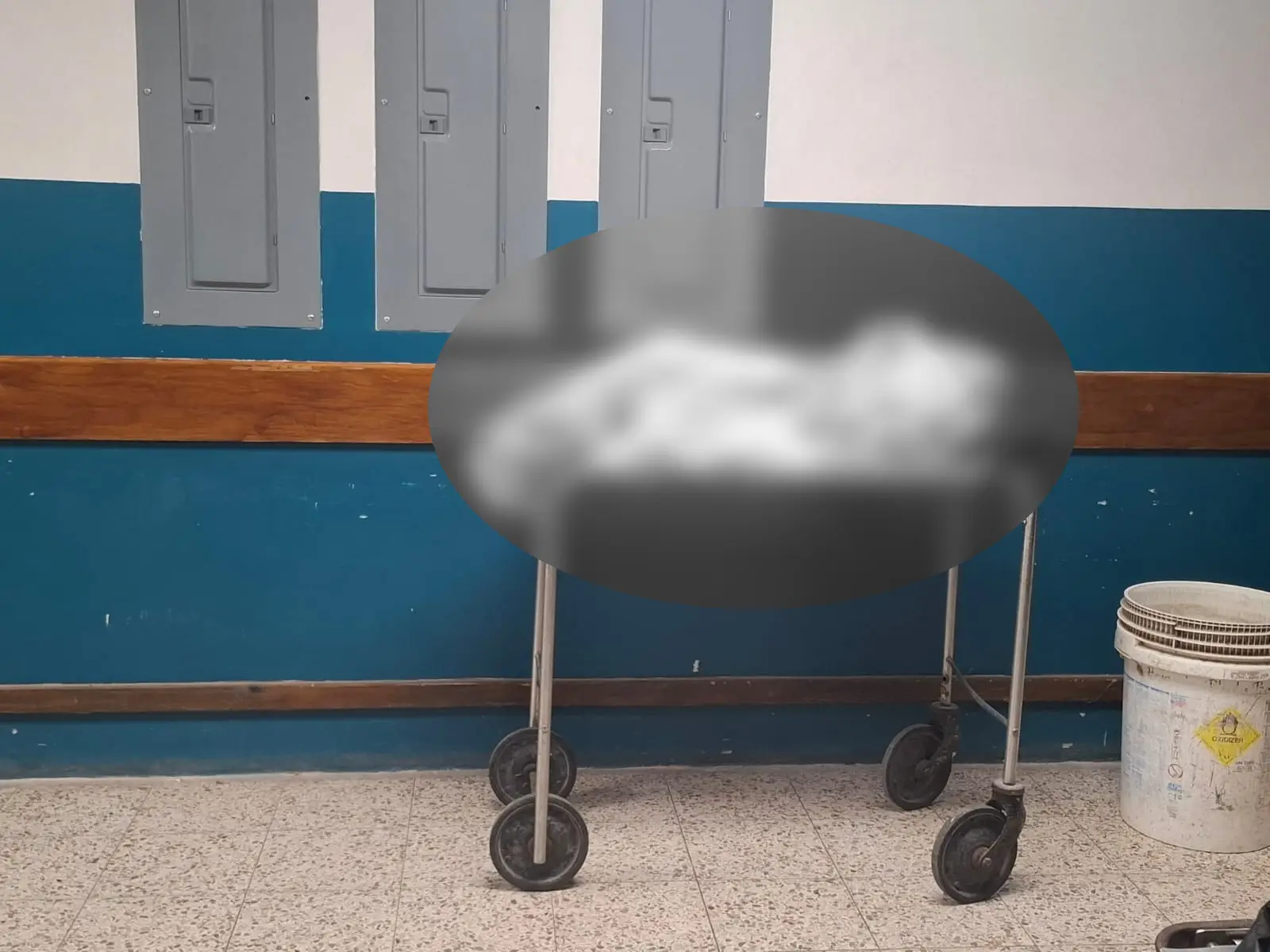 El cuerpo de la niña que murió por mordedura de perro en Francisco Morazán