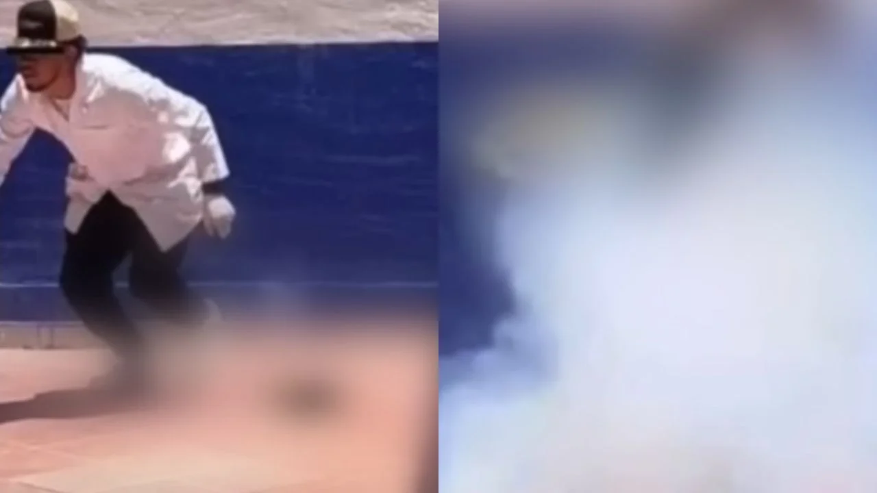 Imagen de Gato con pirotecnia video: estudiantes hacen explotar al animal