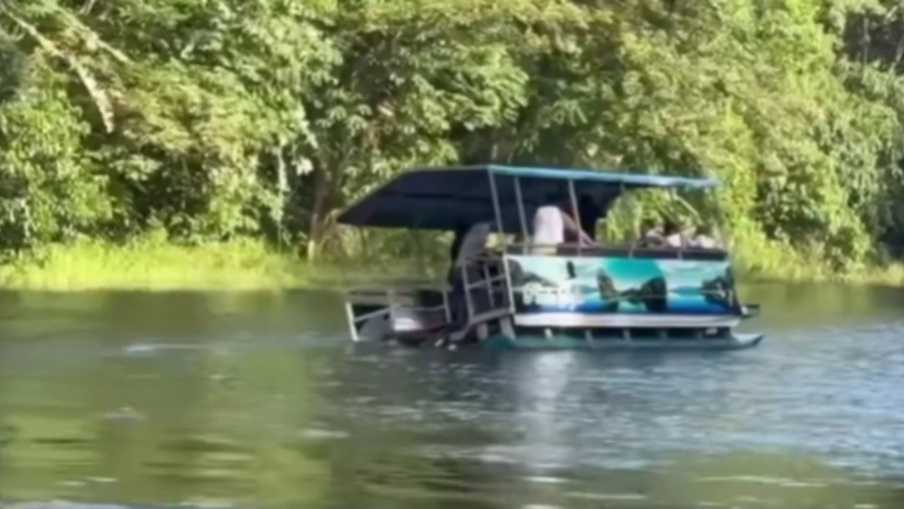 VIDEO: Lancha con familia estuvo a punto de volcarse en el Lago de Yojoa Imagen de VIDEO: Lancha con familia estuvo a punto de volcarse en el Lago de Yojoa