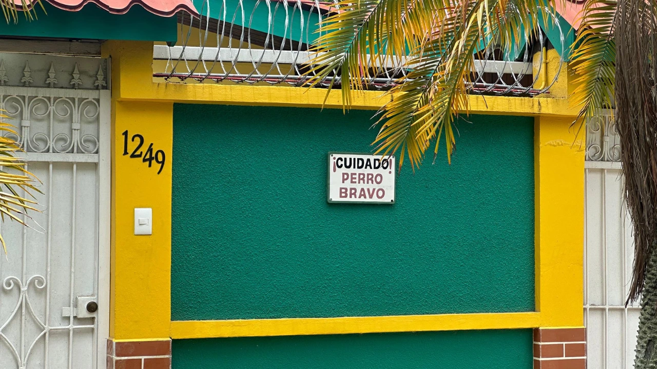 Imagen Principal de Nota: Maestro muere en su casa en La Ceiba y sus perros lo atacan tras su muerte