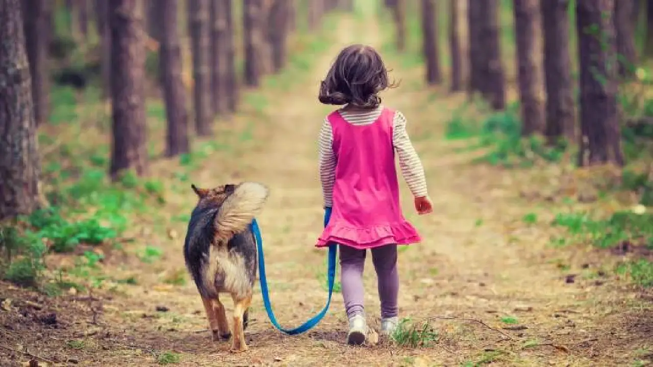 Imagen de Niña de 4 años muere tras ser mordida por perro en aldea de Francisco Morazán