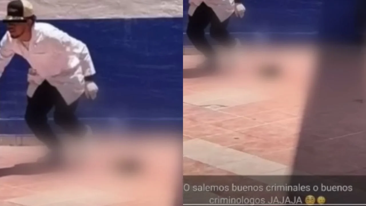 Fotos virales dle video del gato con pirotecnia 