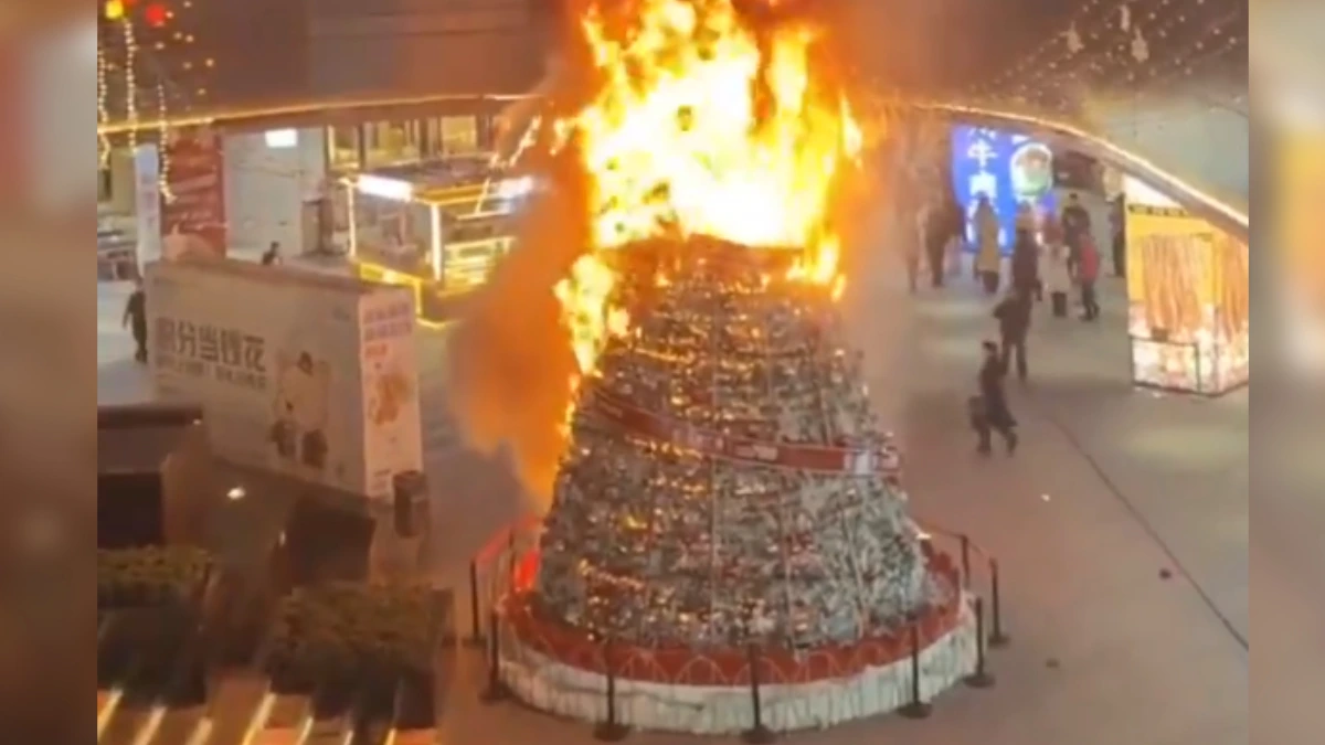 Un gigantesco árbol de Navidad instalado dentro de un centro comercial en Chengdu, China. Foto: captura de pantalla de video cortesía de redes sociales 