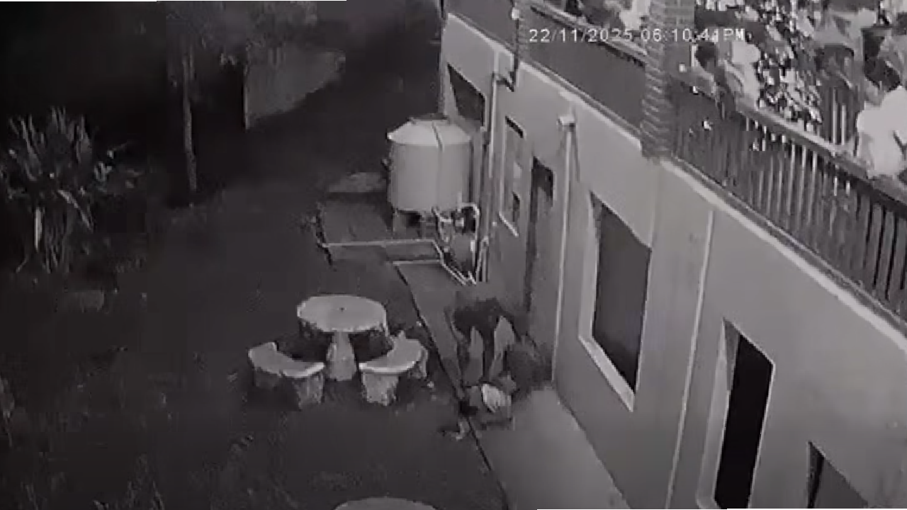 Imagen de VIDEO SENSIBLE: Hombre cae desde segundo nivel de restaurante en Lago de Yojoa