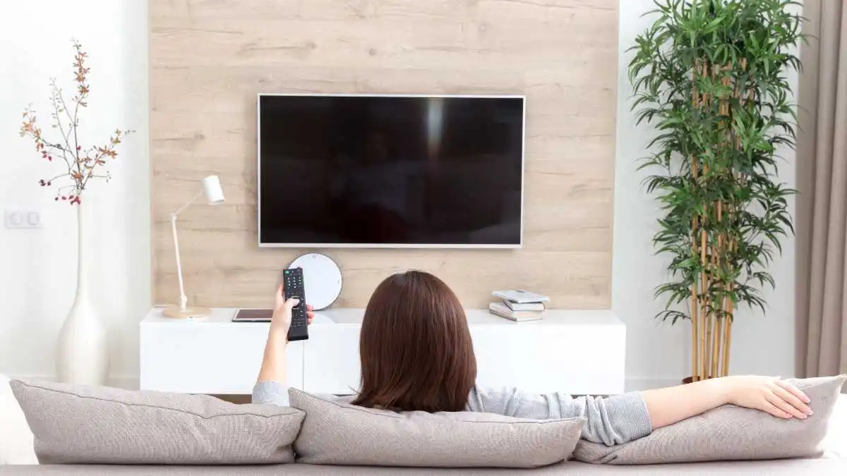 Televisor
