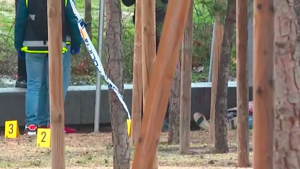 Matan a hondureño en parque de Madrid