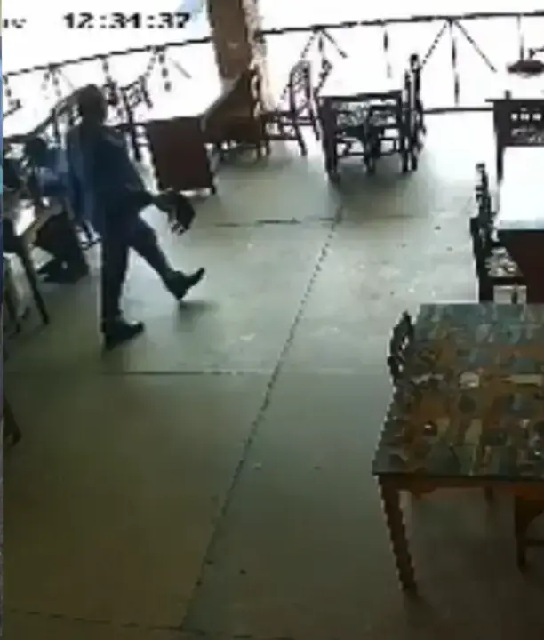 Momento en que el hombre lanzó al gato en el restaurante de Tegucigalpa 