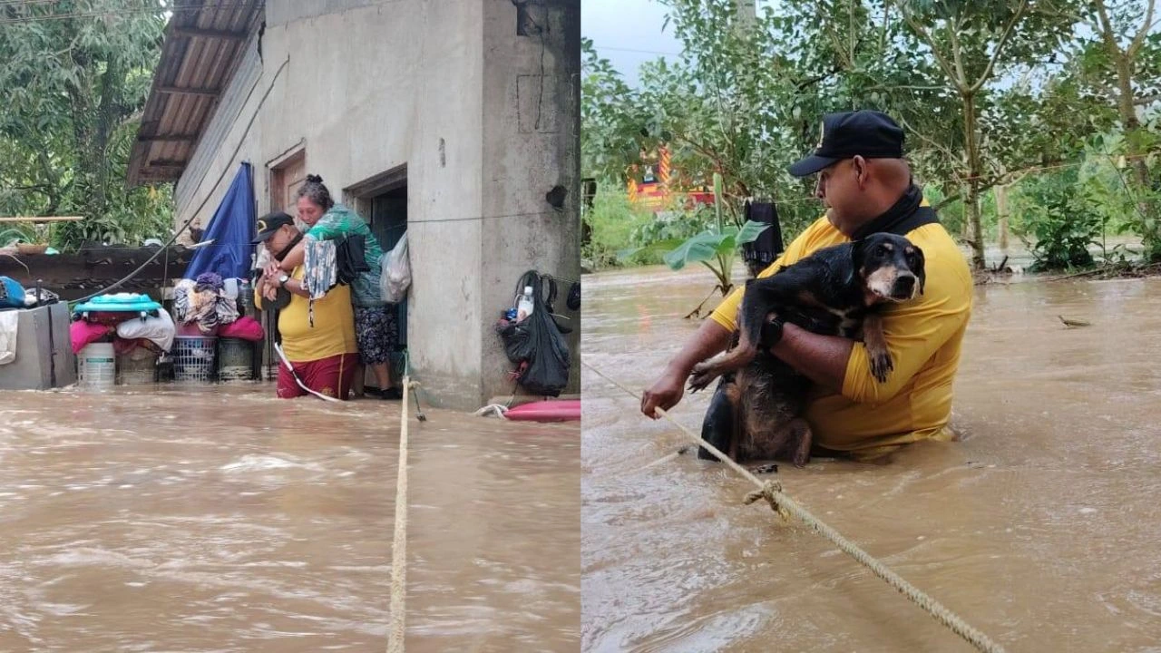Así fue el rescate de una mujer y sus mascotas tras desbordamiento de río en Tela Imagen de Así fue el rescate de una mujer y sus mascotas tras desbordamiento de río en Tela