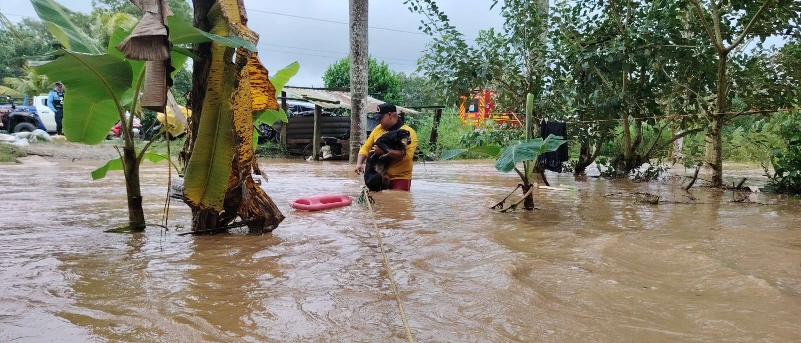 Bomberos rescatando a mascota.