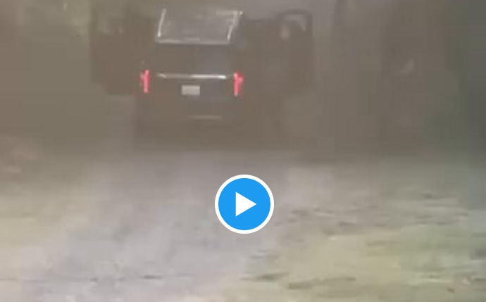 Autopsia de 'El Mencho' ForoGore