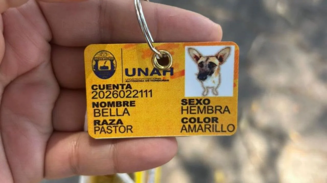 carnet de una perrita que vivía en la Universidad Nacional Autónoma de Honduras