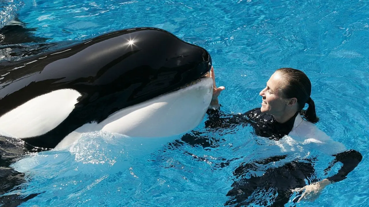 Dawn Brancheau nadando junto a una orca.