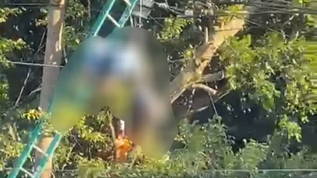 imagen del cuerpo del joven que murió electrocutado.
