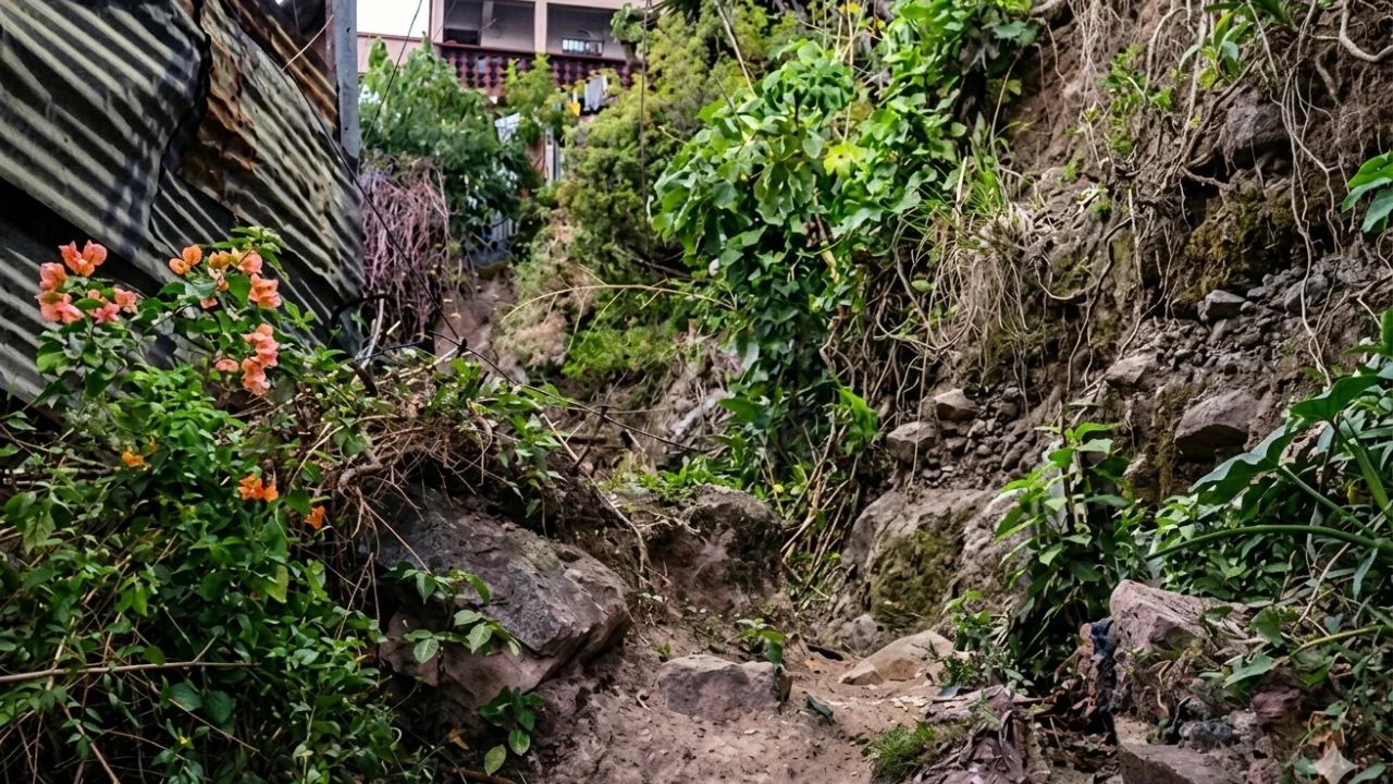 Un joven muere tras caer de un abismo.