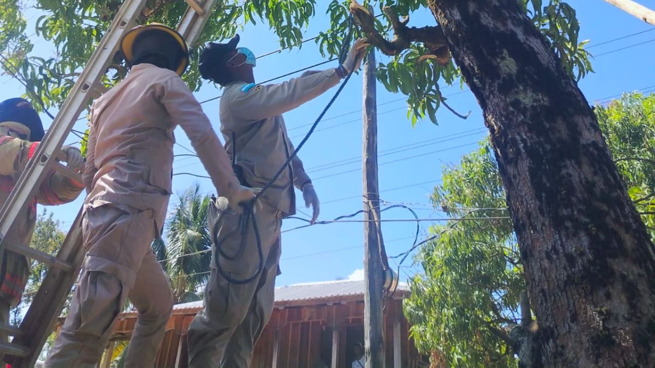 Mientras cortaba mangos de un árbol, joven muere electrocutado, en Gracias a Dios Imagen de Mientras cortaba mangos de un árbol, joven muere electrocutado, en Gracias a Dios
