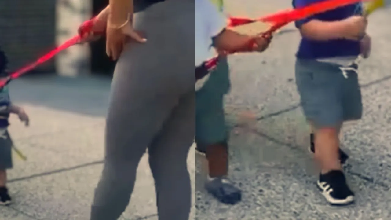 Imagen de ¿Cómo 'mascotas'? | Vídeo: Profesora lleva con correa a sus alumnos a excursión