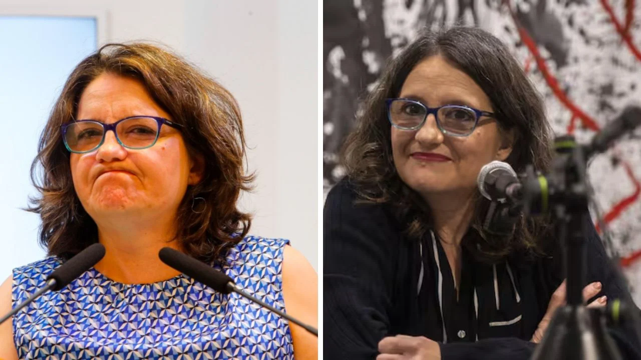 Collage de fotos de Mónica Oltra