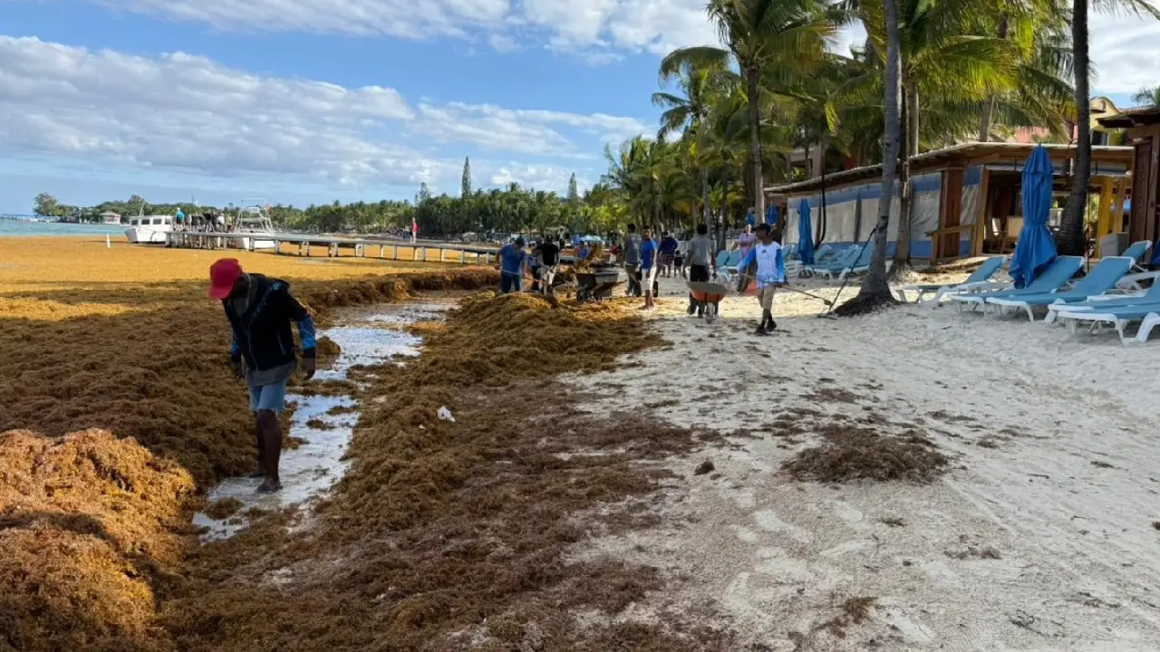 Limpieza de playas de Roatán