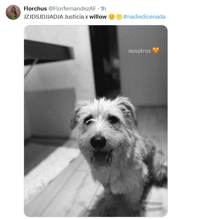 Quién es Willow