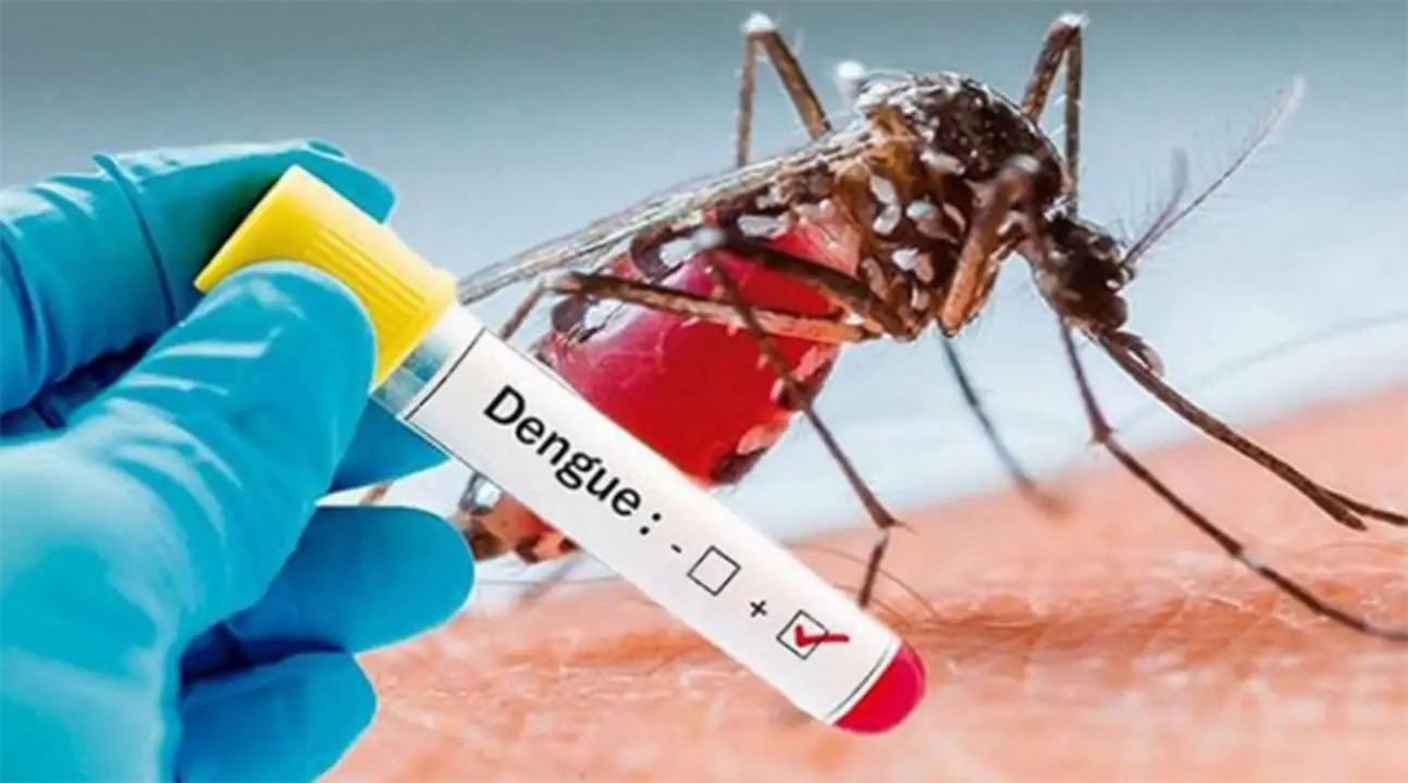Dengue semana santa