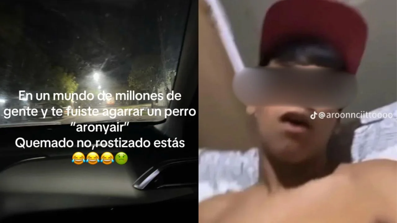 Publicaciones sobre el video de Aronyair, el perro y su mamá.