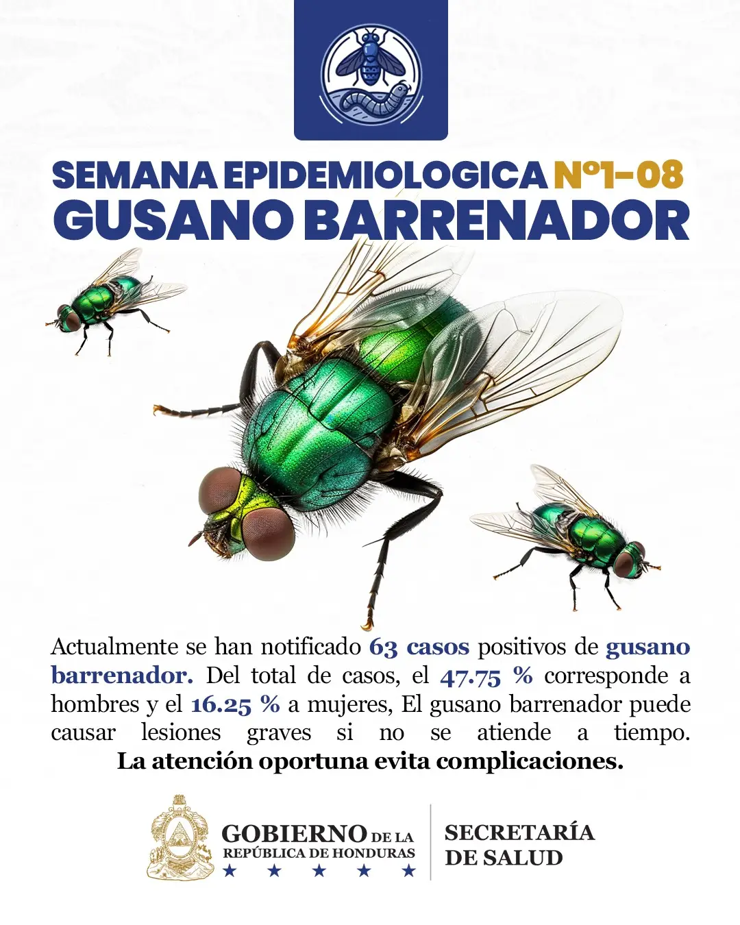 Casos de miasis por gusano barrenador.