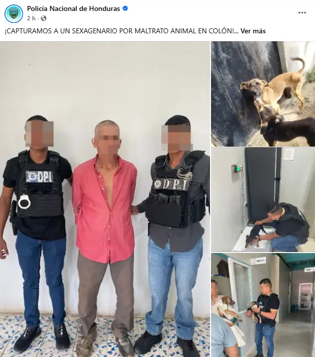 informe de la Policía sobre el hondureño que le negaba la comida a sus perros 