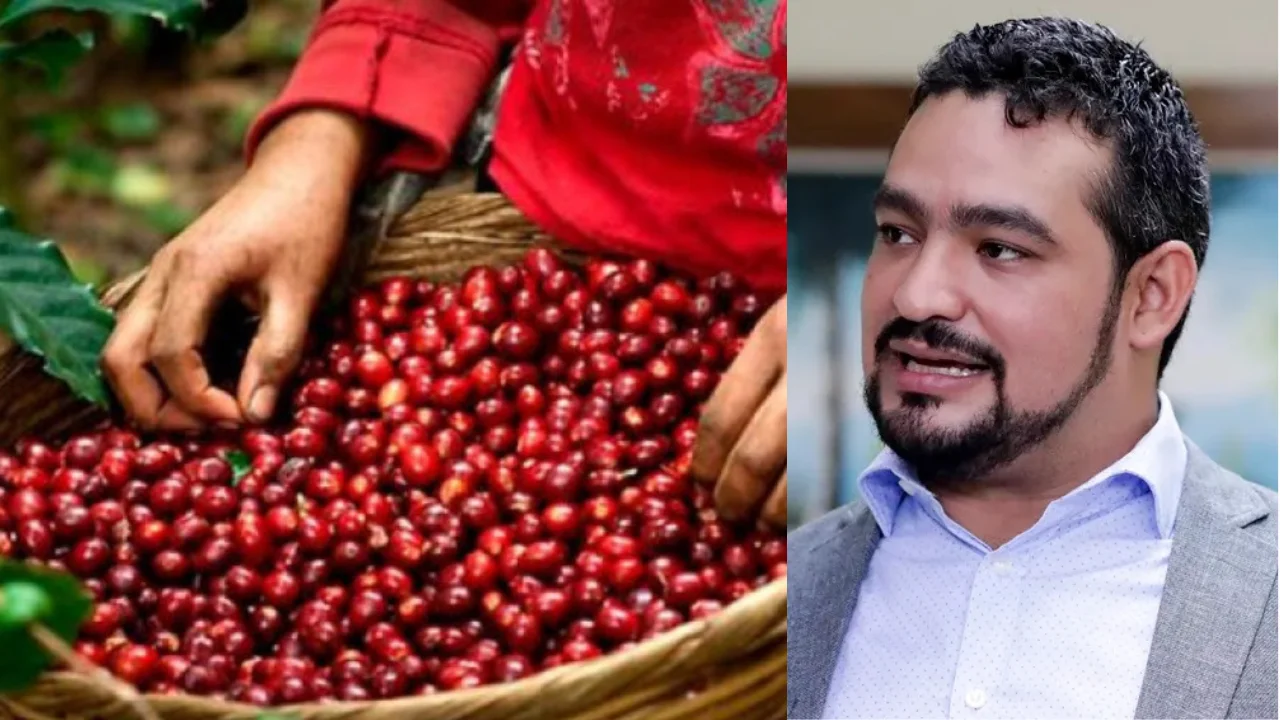 mario suazo vicepresidente de ihcafe