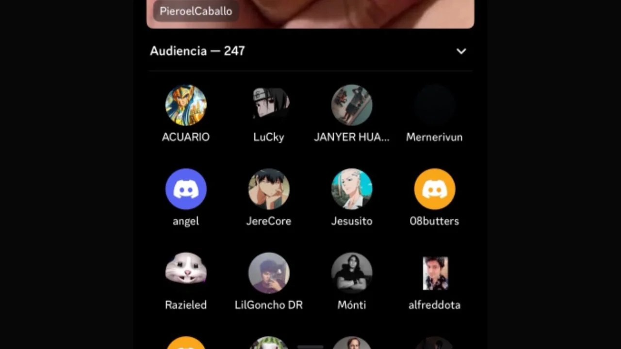 Transmisión en vivo en Discord de Piero Arenas.