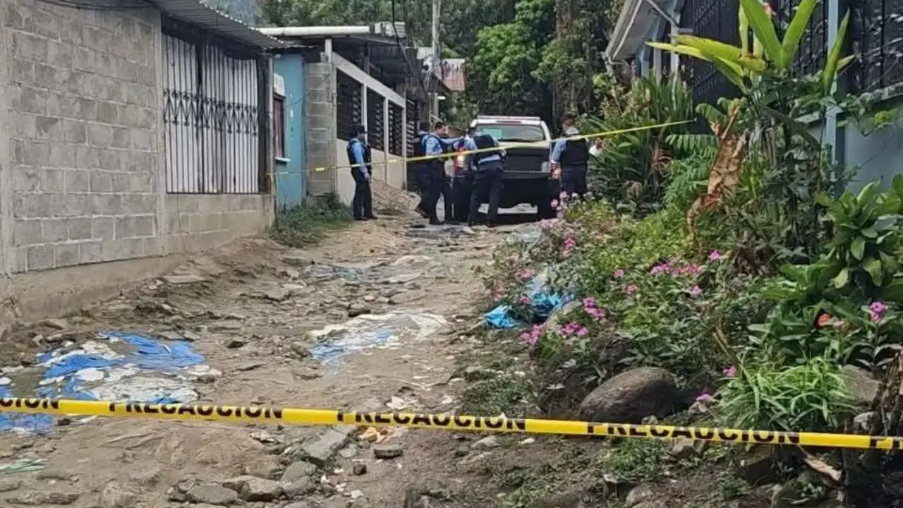 "Con la cara destrozada": asesinan a un hombre a pedradas en San Pedro Sula Imagen de "Con la cara destrozada": asesinan a un hombre a pedradas en San Pedro Sula