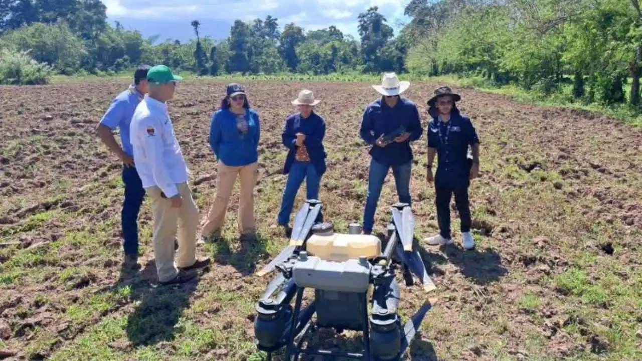 Imagen de Del aula al cultivo: drones agrícolas despegan en la UNAH Atlántida