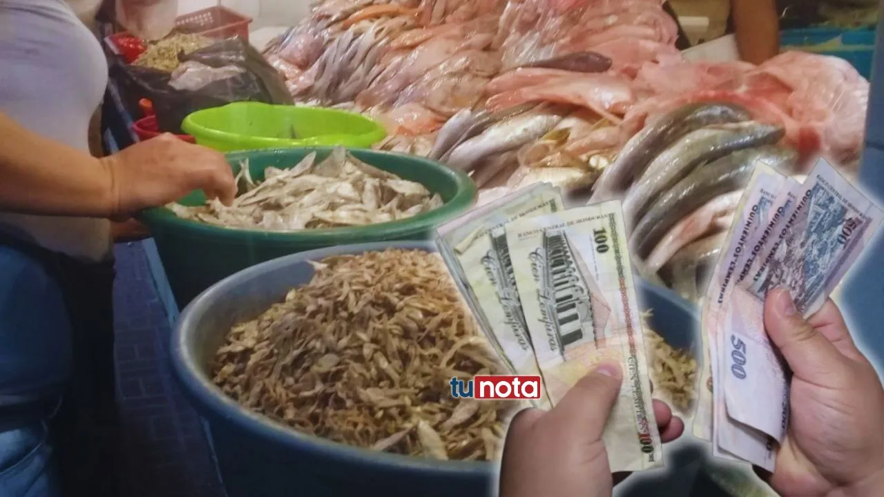 Imagen de 'Deben estar visibles': Gobierno da a conocer precios de referencia de mariscos