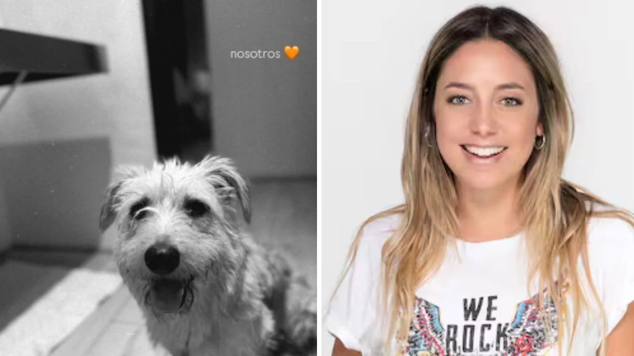 Imagen de ¿Quién es Willow? Sofía Martínez y su perro son tendencia en redes sociales ¿Qué pasó?