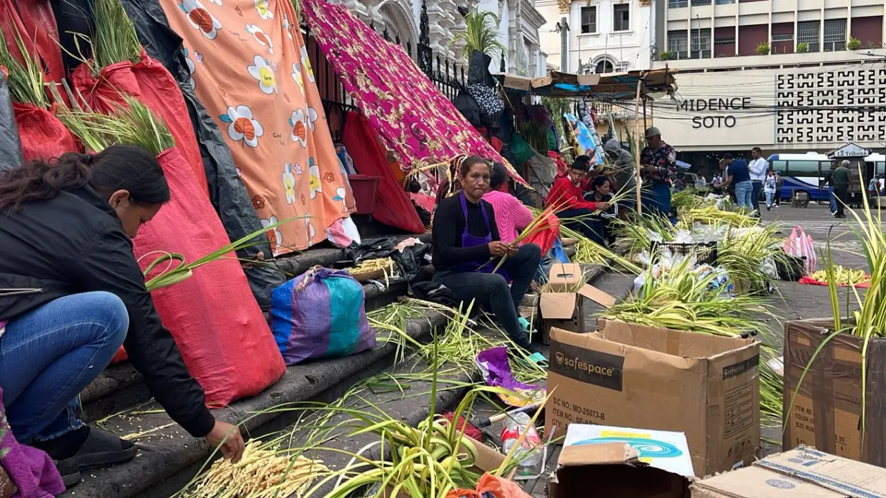 Palmas, fe y comercio: así luce centro de Tegucigalpa previo al Domingo de Ramos Imagen de Palmas, fe y comercio: así luce centro de Tegucigalpa previo al Domingo de Ramos