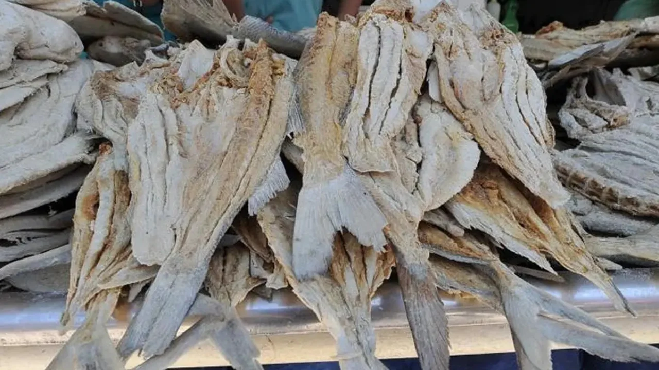 ¡Por las nubes! Fuerte incremento a los mariscos por escasez en mercados de SPS Imagen de ¡Por las nubes! Fuerte incremento a los mariscos por escasez en mercados de SPS