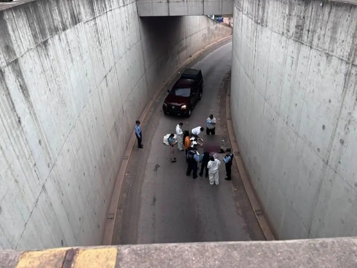 Puente El Carrizal