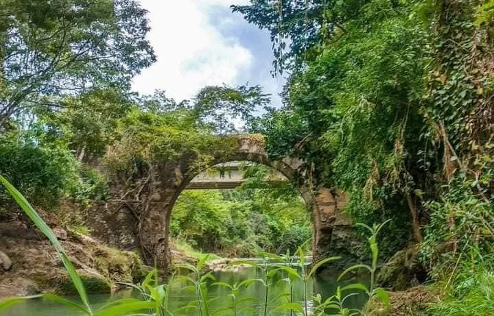 Puente Goacorán